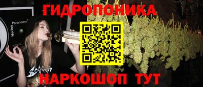 круглые Сланцы