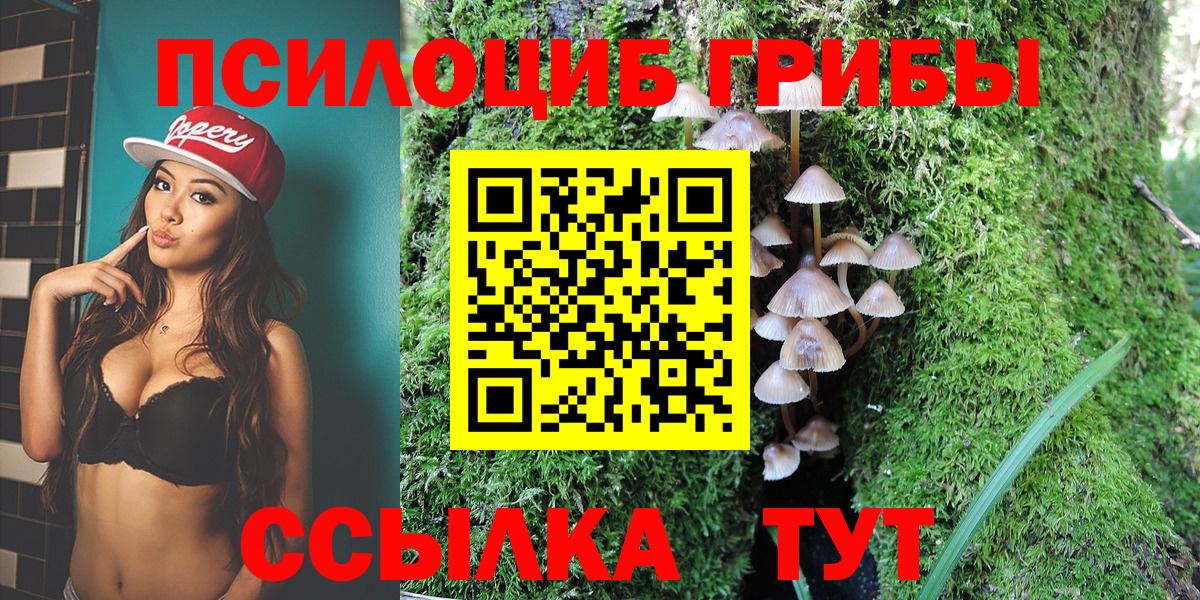 Псилоцибиновые грибы MAGIC MUSHROOMS  Вход с VPN  купить наркотик  Рославль 